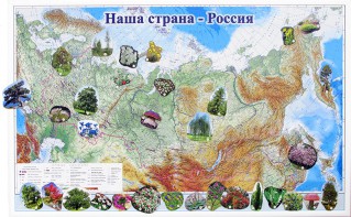 Магнитные карточки "Растения" - fgospostavki.ru - Саратов