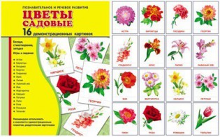 Демонстрационные карточки "Цветы садовые" - fgospostavki.ru - Саратов
