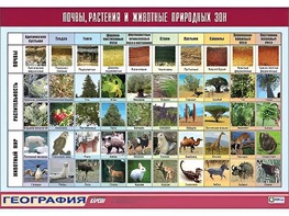 Таблица демонстрационная "Почвы, растения и животные природных зон" (винил 70*100) - fgospostavki.ru - Саратов