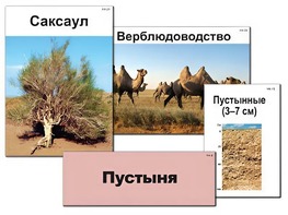 Модель-аппликация "Природные зоны России" (ламинированная) - fgospostavki.ru - Саратов