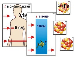 Модель-аппликация "Явление радиоактивности" (ламинированная) - fgospostavki.ru - Саратов