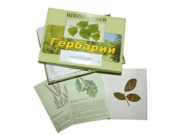 Гербарий "Дикорастущие растения" (30 видов, с иллюстрациями) - fgospostavki.ru - Саратов