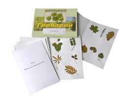 Гербарий "Морфология растений" (6 тем, 30 видов) - fgospostavki.ru - Саратов