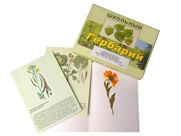 Гербарий "Систематика растений. Семейство Пасленовые. Крестоцветные. Сложноцветные" (раздаточный) - fgospostavki.ru - Саратов