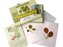 Гербарий "Систематика растений. Семейство Розоцветные" (раздаточный) - fgospostavki.ru - Саратов