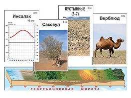 Модель-аппликация "Природные зоны" - fgospostavki.ru - Саратов