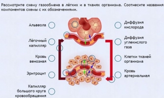 Интерактивные курсы. Биология 9 класс. Расширенный. - fgospostavki.ru - Саратов