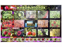 Комплект оборудования "Живой уголок" (растения) с тифлопереводом и сурдокомментариями - fgospostavki.ru - Саратов