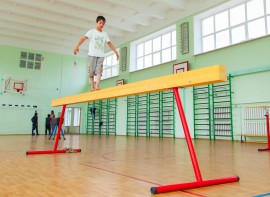 Бревно гимнастическое напольное постоянной высоты (700 мм) (5 м) - fgospostavki.ru - Саратов