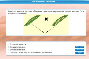 Интерактивные курсы. Биология 11 класс. Базовый. - fgospostavki.ru - Саратов