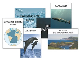 Модель-аппликация "Океаны. Знакомство" (ламинированная) - fgospostavki.ru - Саратов