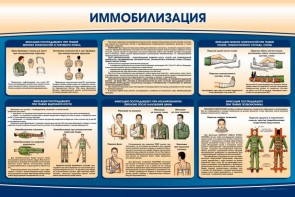 Стенд "Иммобилизация" - fgospostavki.ru - Саратов
