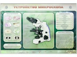 Электрифицированный стенд "Устройство микроскопа и правила работы c ним" - fgospostavki.ru - Саратов