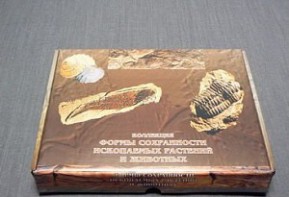 Коллекция "Формы сохранности ископаемых растений и животных" - fgospostavki.ru - Саратов