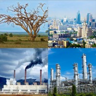 Модель-аппликация Биосфера и человек - fgospostavki.ru - Саратов