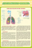 Стенд "Дыхательная система" - fgospostavki.ru - Саратов
