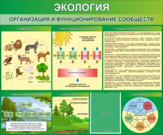Стенд "Экология. Организация и функционирование сообществ" - fgospostavki.ru - Саратов