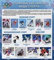 Стенд "Олимпийские зимние виды спорта" - fgospostavki.ru - Саратов