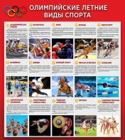 Стенд "Олимпийские летние виды спорта" - fgospostavki.ru - Саратов