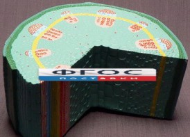 Модель "Стебель растения" - fgospostavki.ru - Саратов