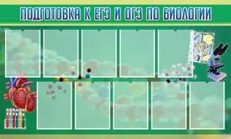 Стенд "Подготовка к ЕГЭ и ОГЭ по биологии" Вариант 2 - fgospostavki.ru - Саратов