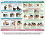 Комплект плакатов "Оказание первой доврачебной медицинской помощи" - fgospostavki.ru - Саратов