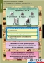 Комплект таблиц. История. Политические течения XVIII-XIX веков. - fgospostavki.ru - Саратов