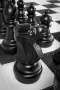 Напольные фигуры шахматные гигантские 61 - fgospostavki.ru - Саратов