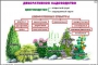 Комплект кодотранспарантов "Культурные растения" - fgospostavki.ru - Саратов