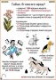 Комплект кодотранспарантов "Ядовитые растения" - fgospostavki.ru - Саратов